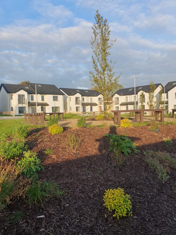 Slieve Locha 20